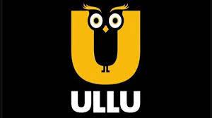 Ullu Digital IPO 2024: इस दिन आ रहा हैं एडल्ट स्ट्रीमिंग प्लेटफार्म Ullu का IPO